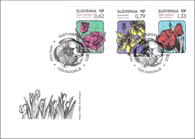RASTLINSTVO - TULIPANI